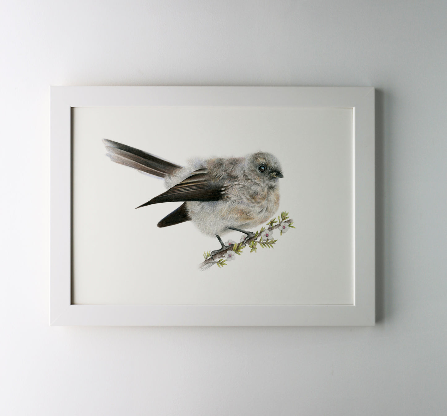 Baby Pīwakawaka Print