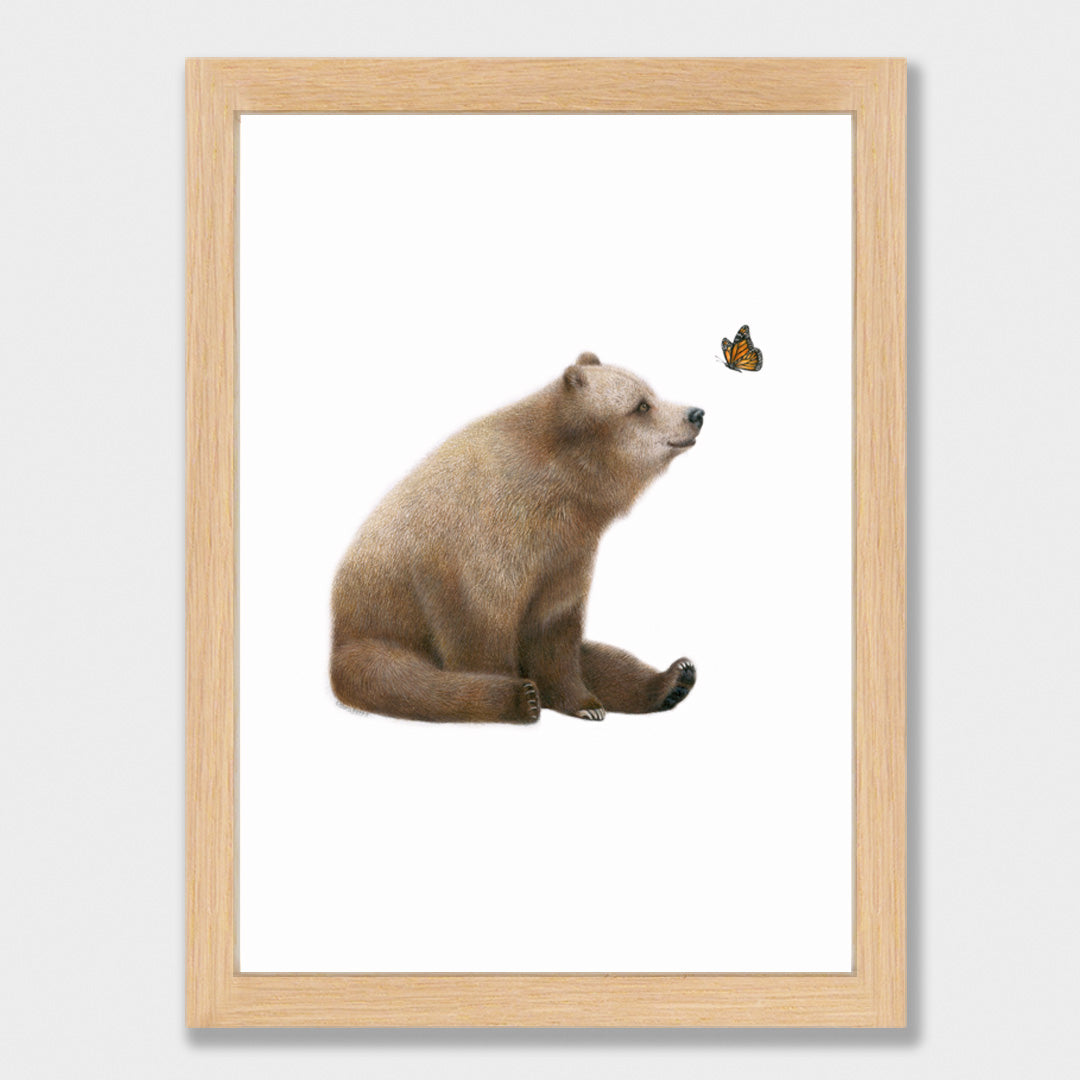 Bear and Butterfly Print