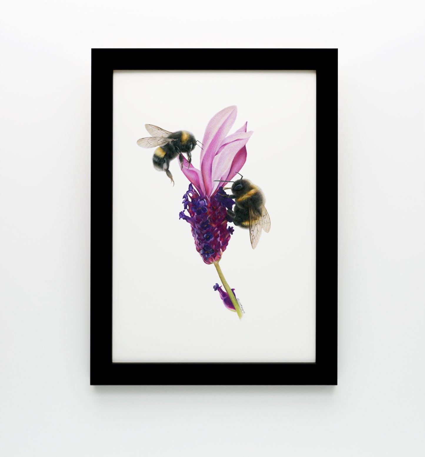 Bees on Lavender Print