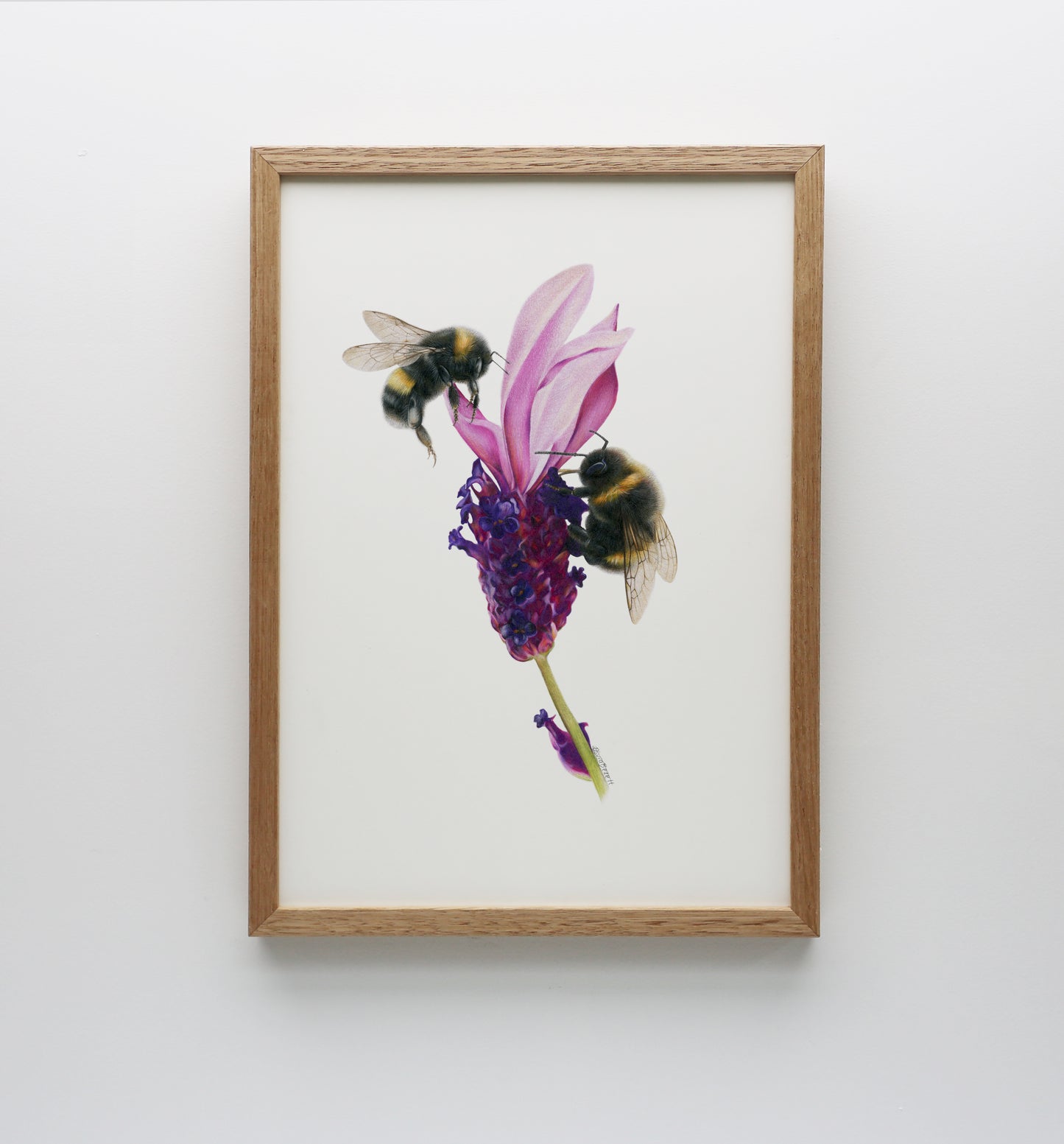 Bees on Lavender Print