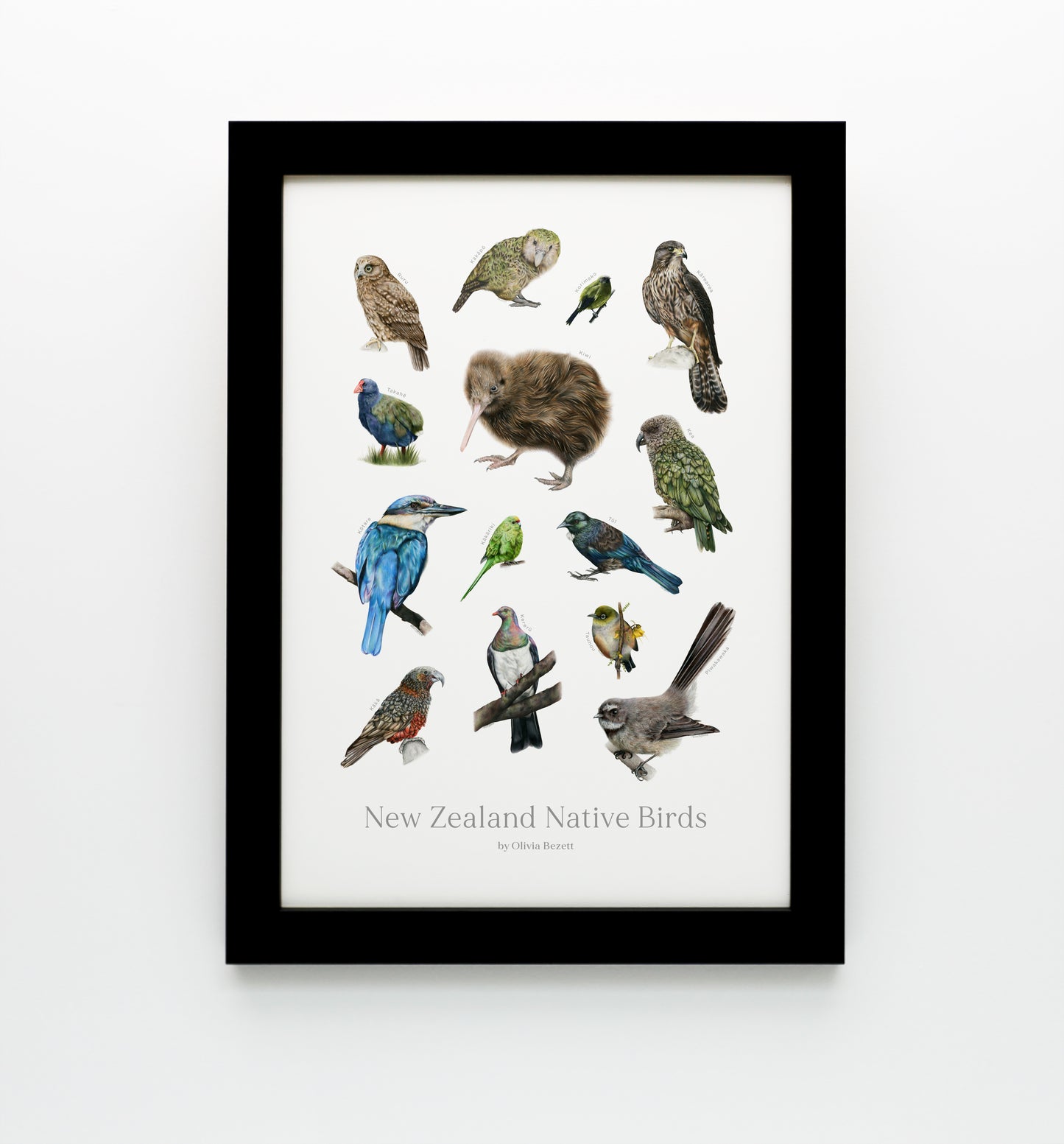 New Zealand Native Birds Print