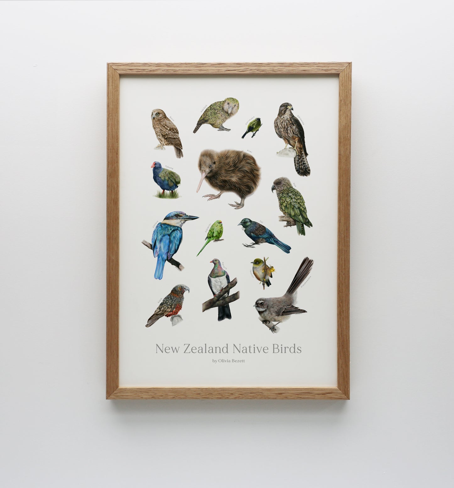 New Zealand Native Birds Print