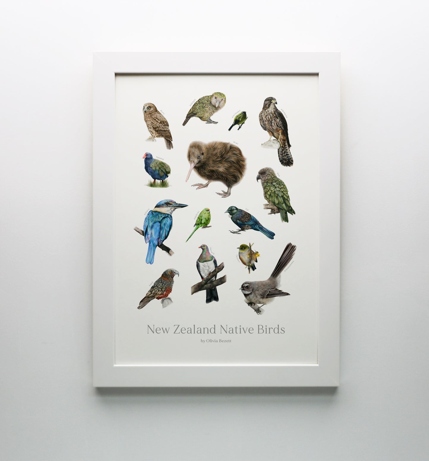 New Zealand Native Birds Print
