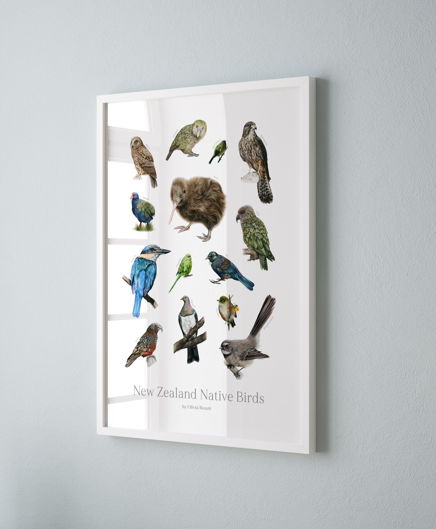 New Zealand Native Birds Print