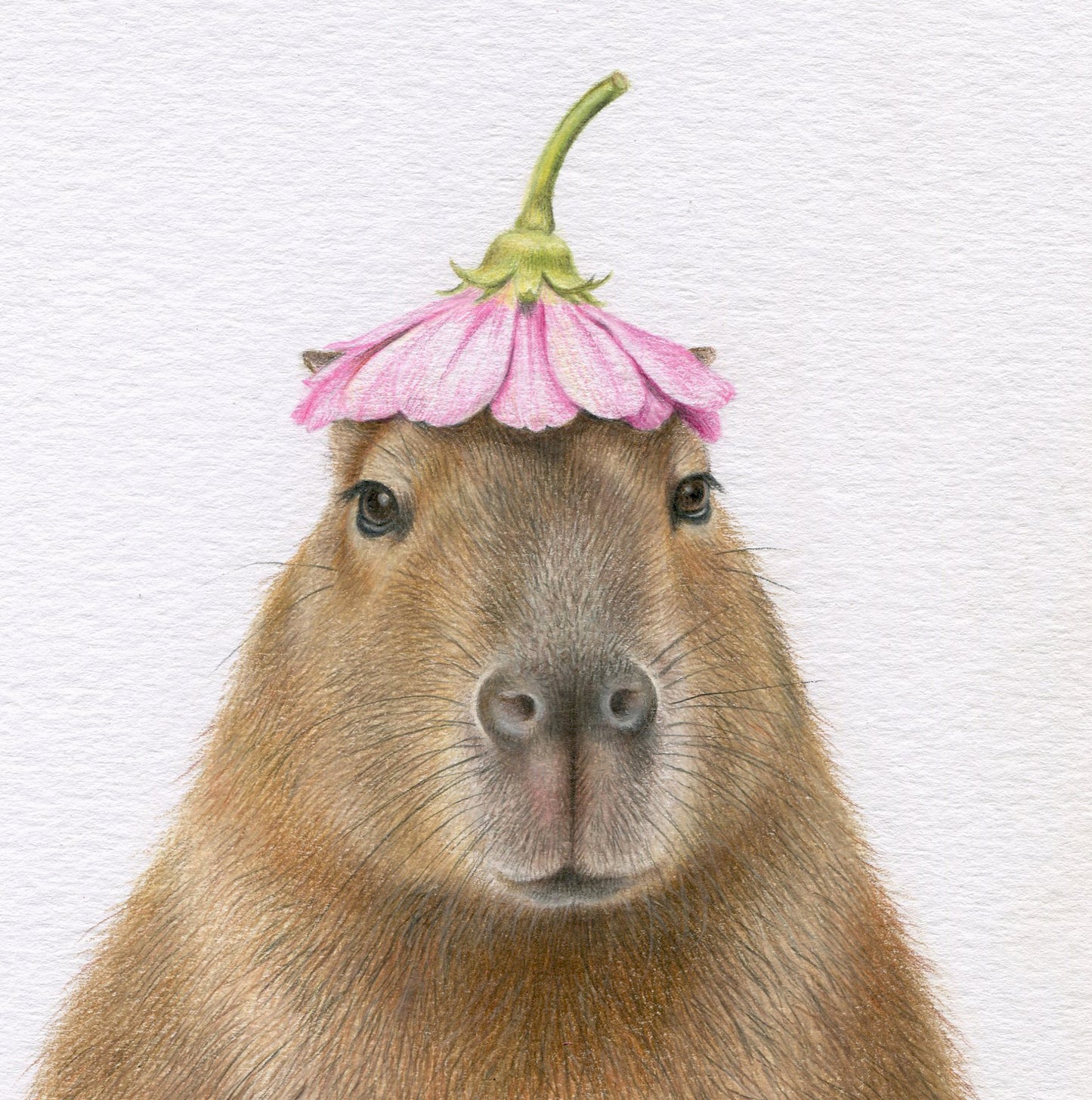 Original 'Capybara with Flower Hat'