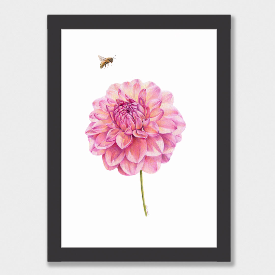 Dahlia and Bee Print