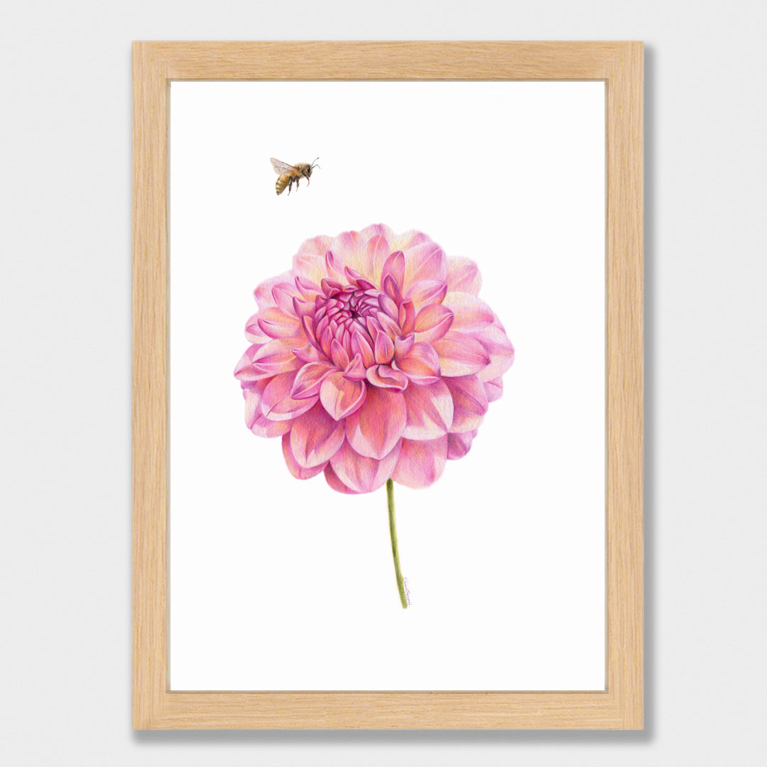 Dahlia and Bee Print