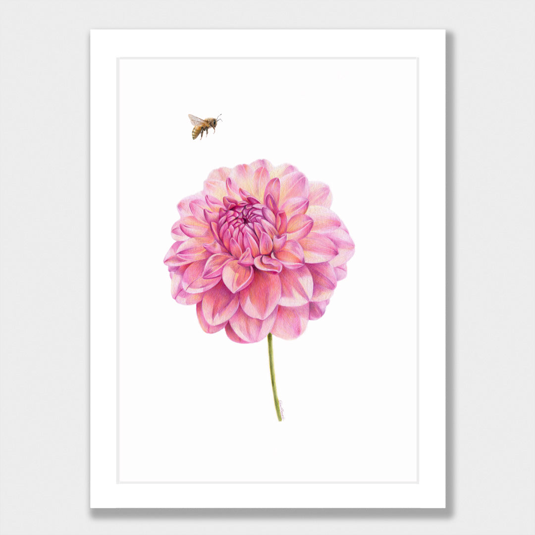 Dahlia and Bee Print