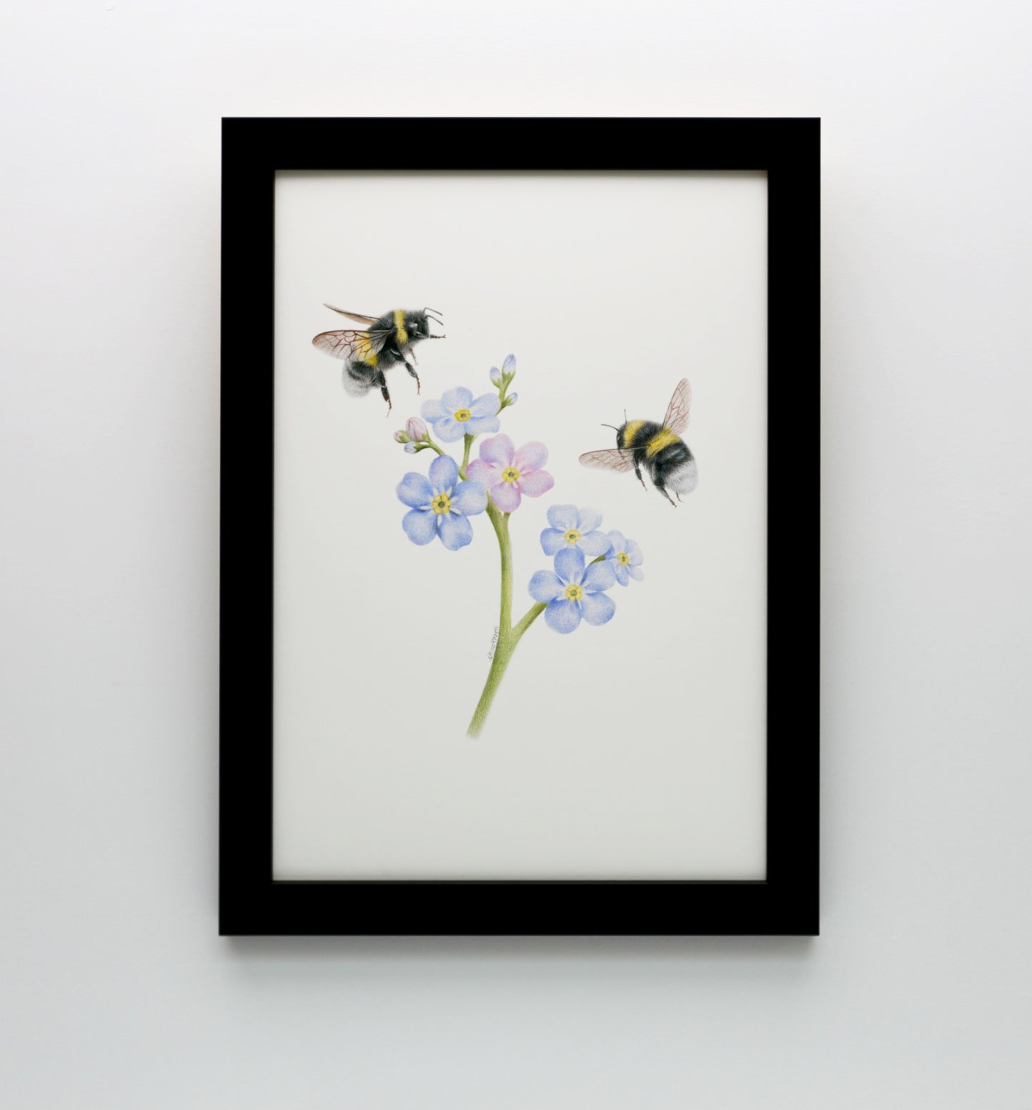 Forget Me Not Bees Print