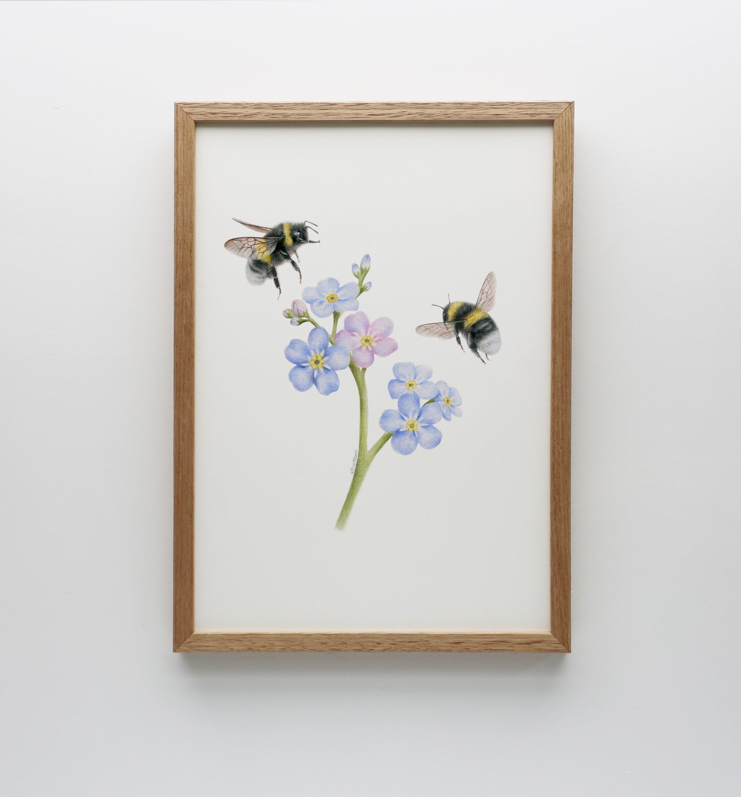 Forget Me Not Bees Print