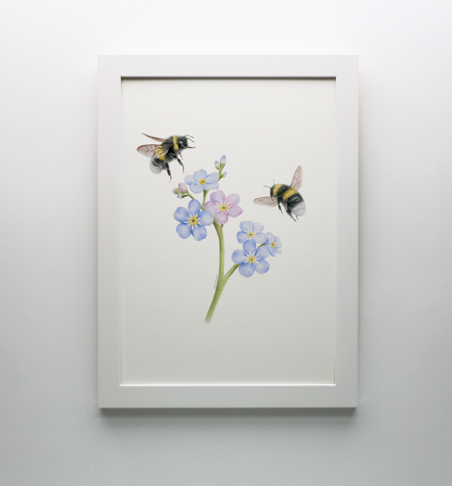 Forget Me Not Bees Print