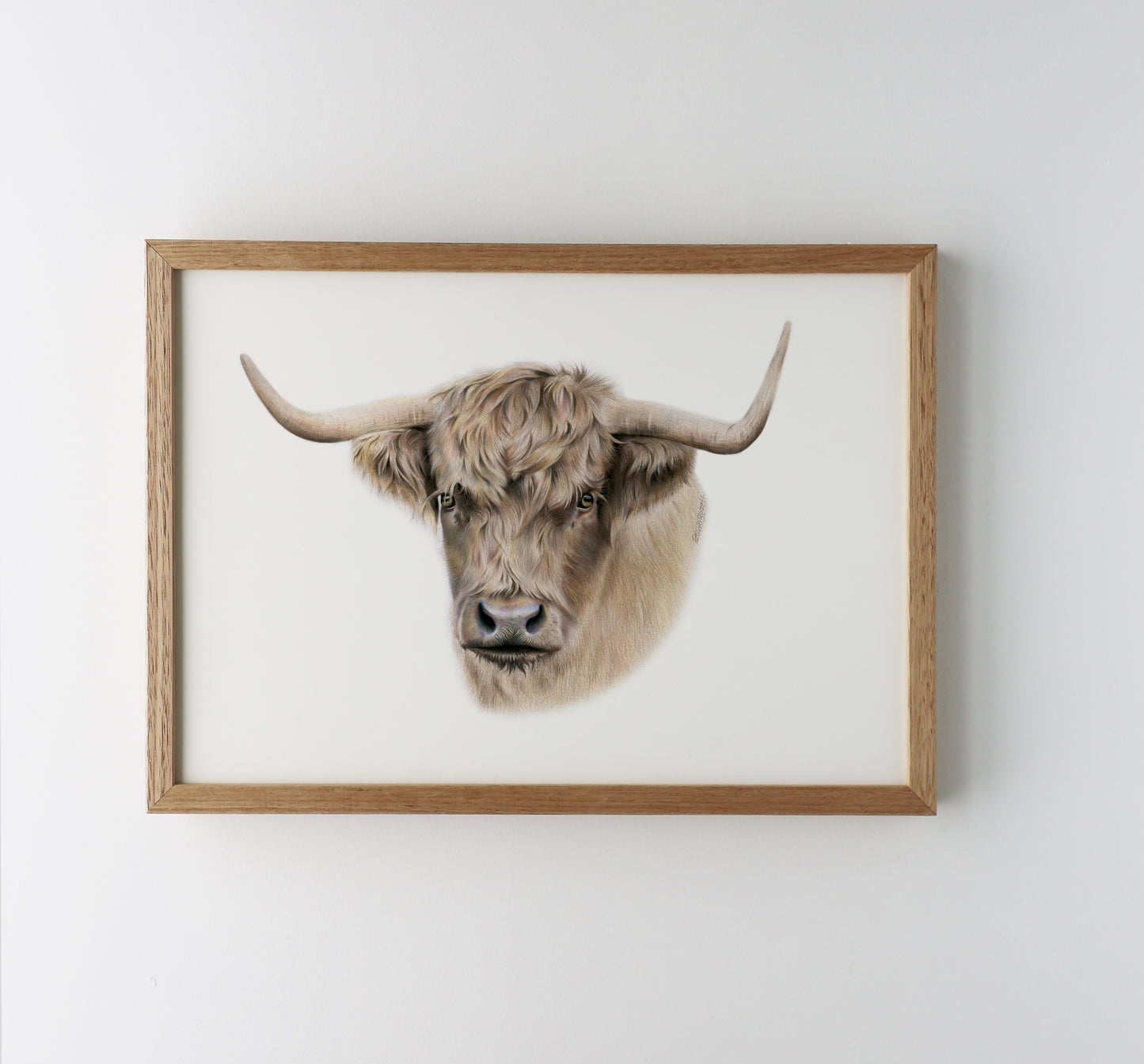 Highland Cow Print