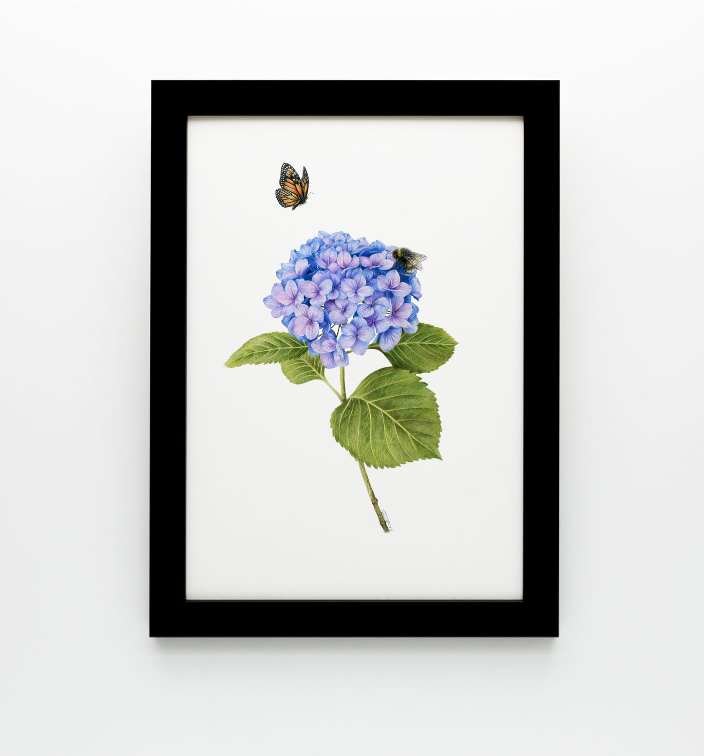 Hydrangea, Bee and Butterfly Print