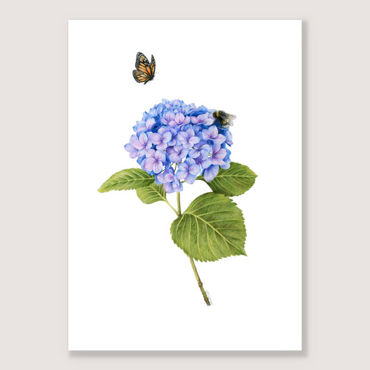 Hydrangea, Bee and Butterfly Print