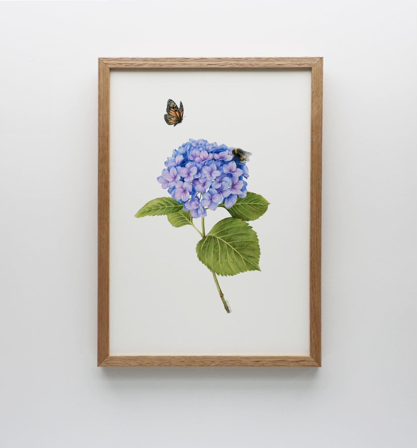 Hydrangea, Bee and Butterfly Print