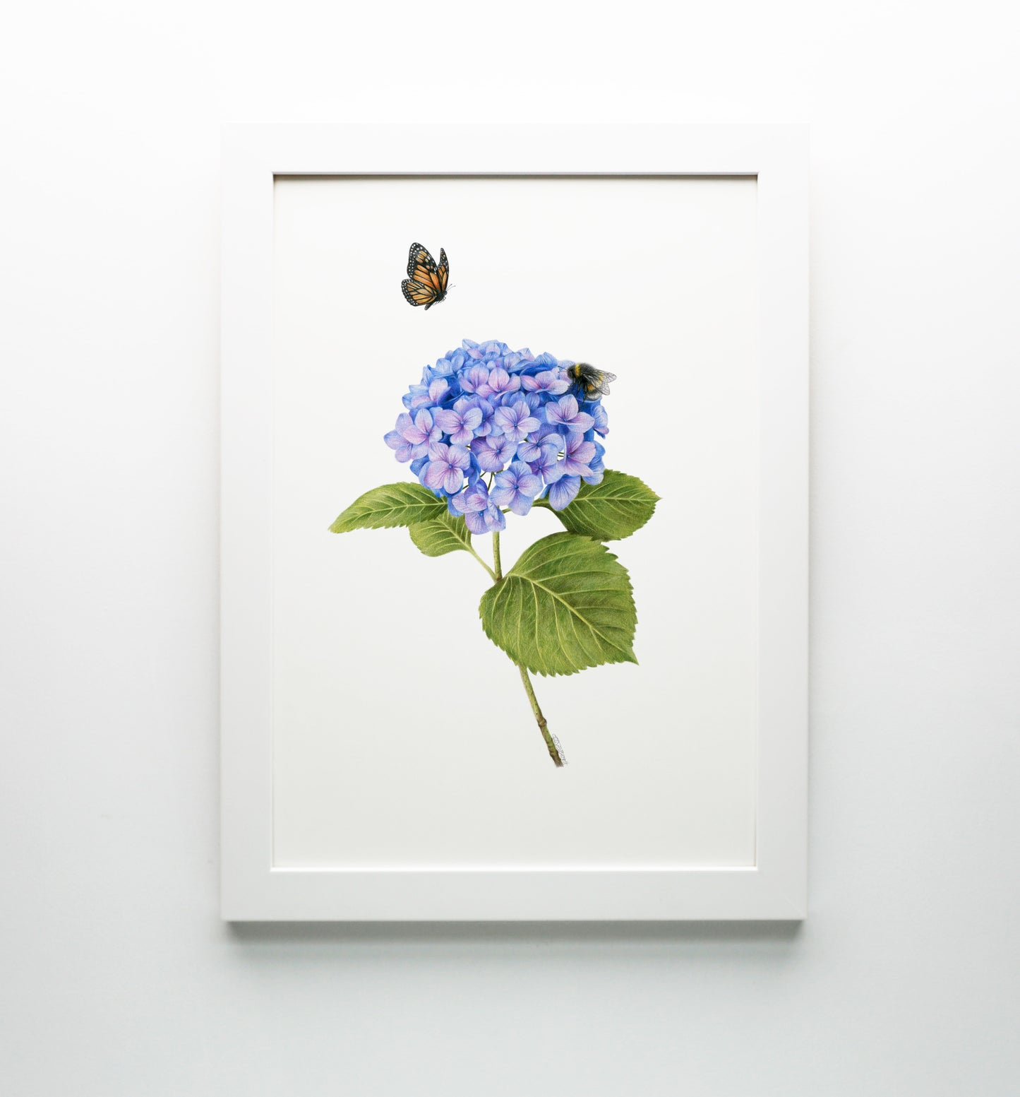 Hydrangea, Bee and Butterfly Print