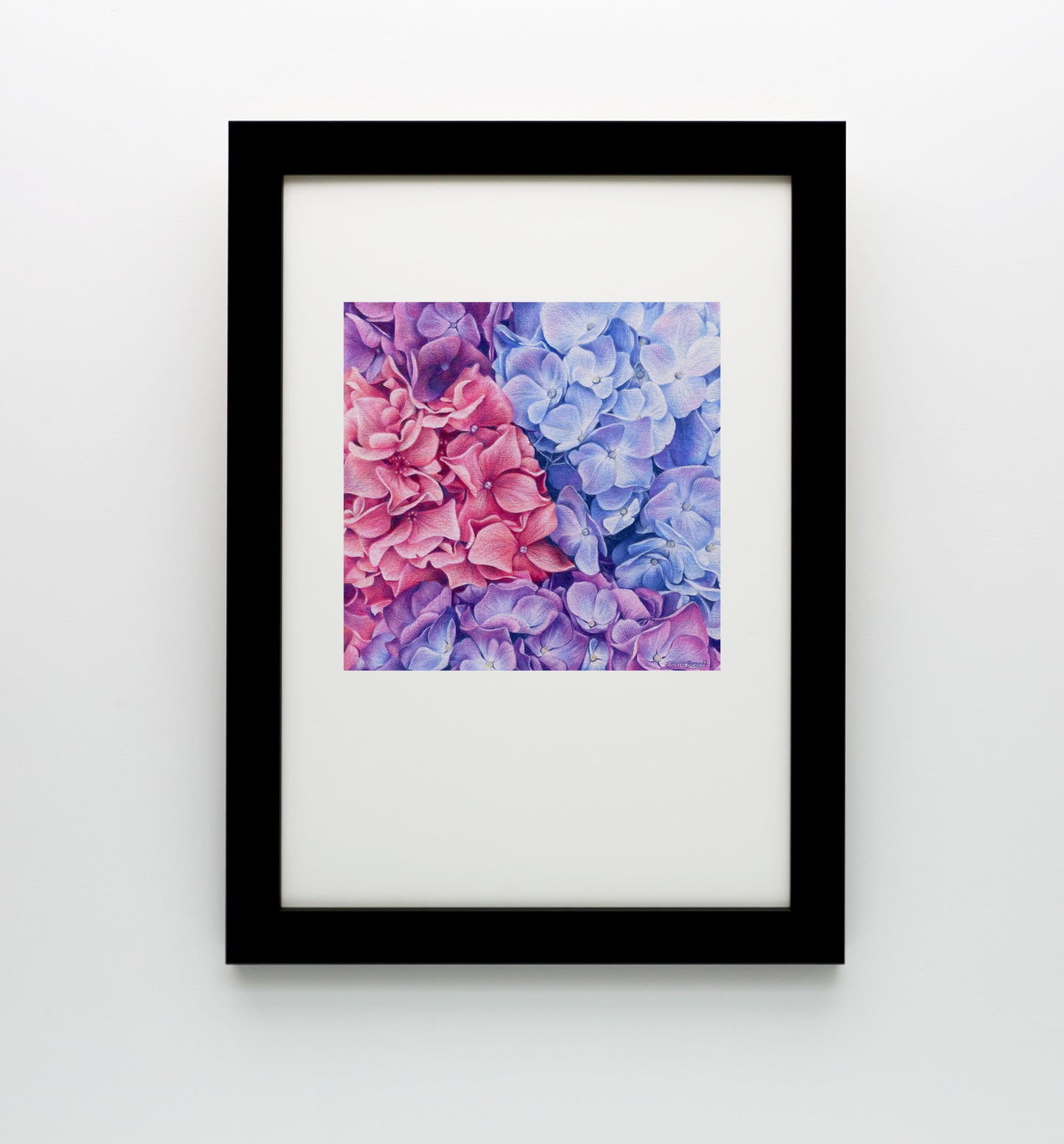 Hydrangeas Print