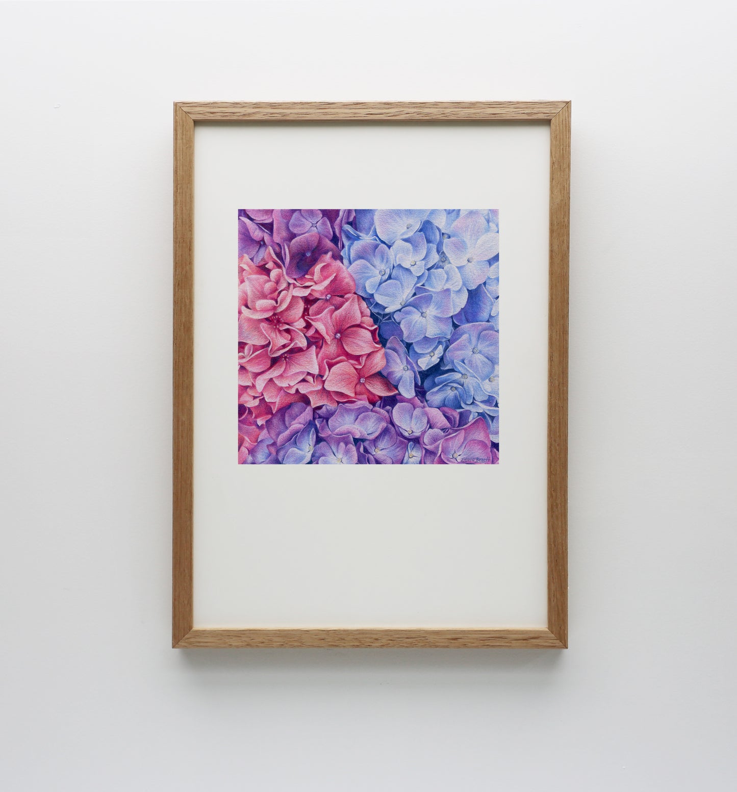 Hydrangeas Print