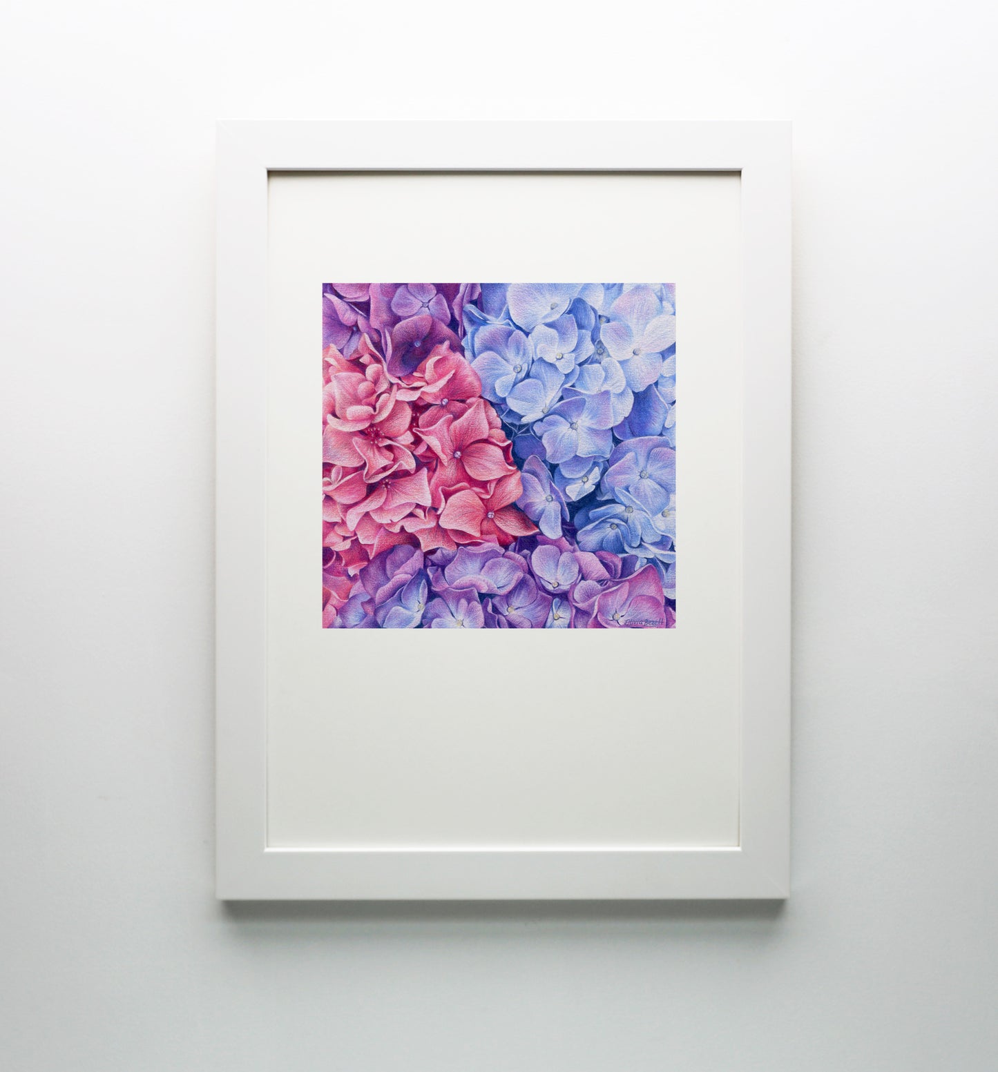 Hydrangeas Print