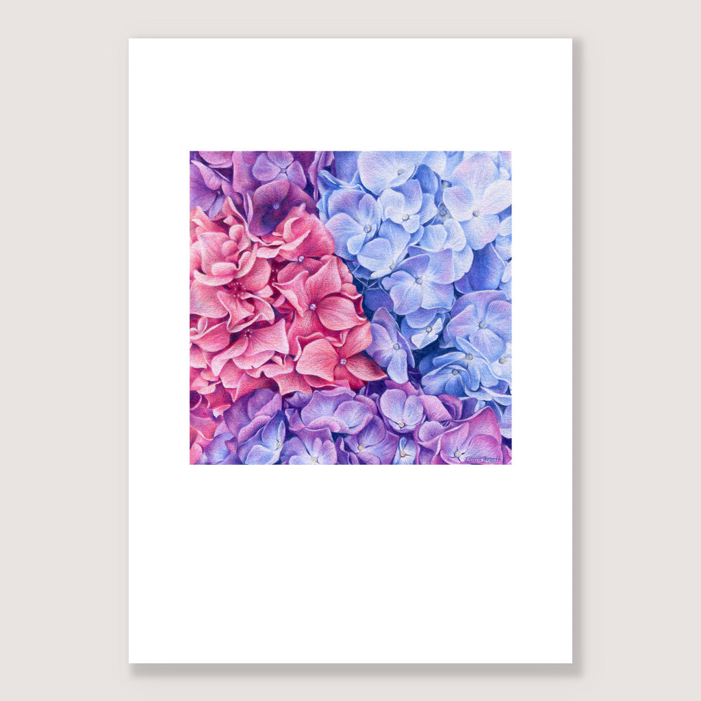 Hydrangeas Print