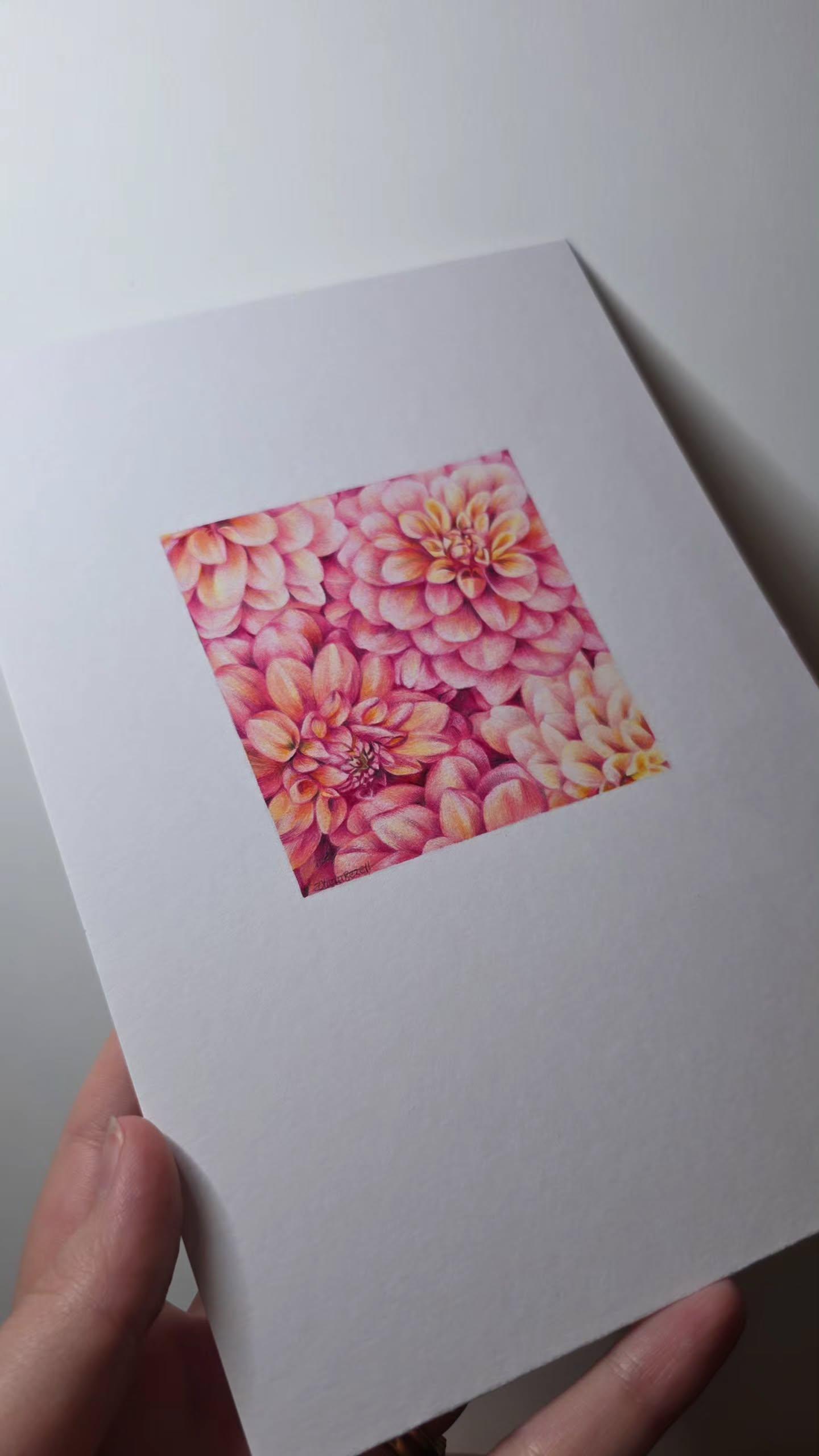 Original 'Dahlias'