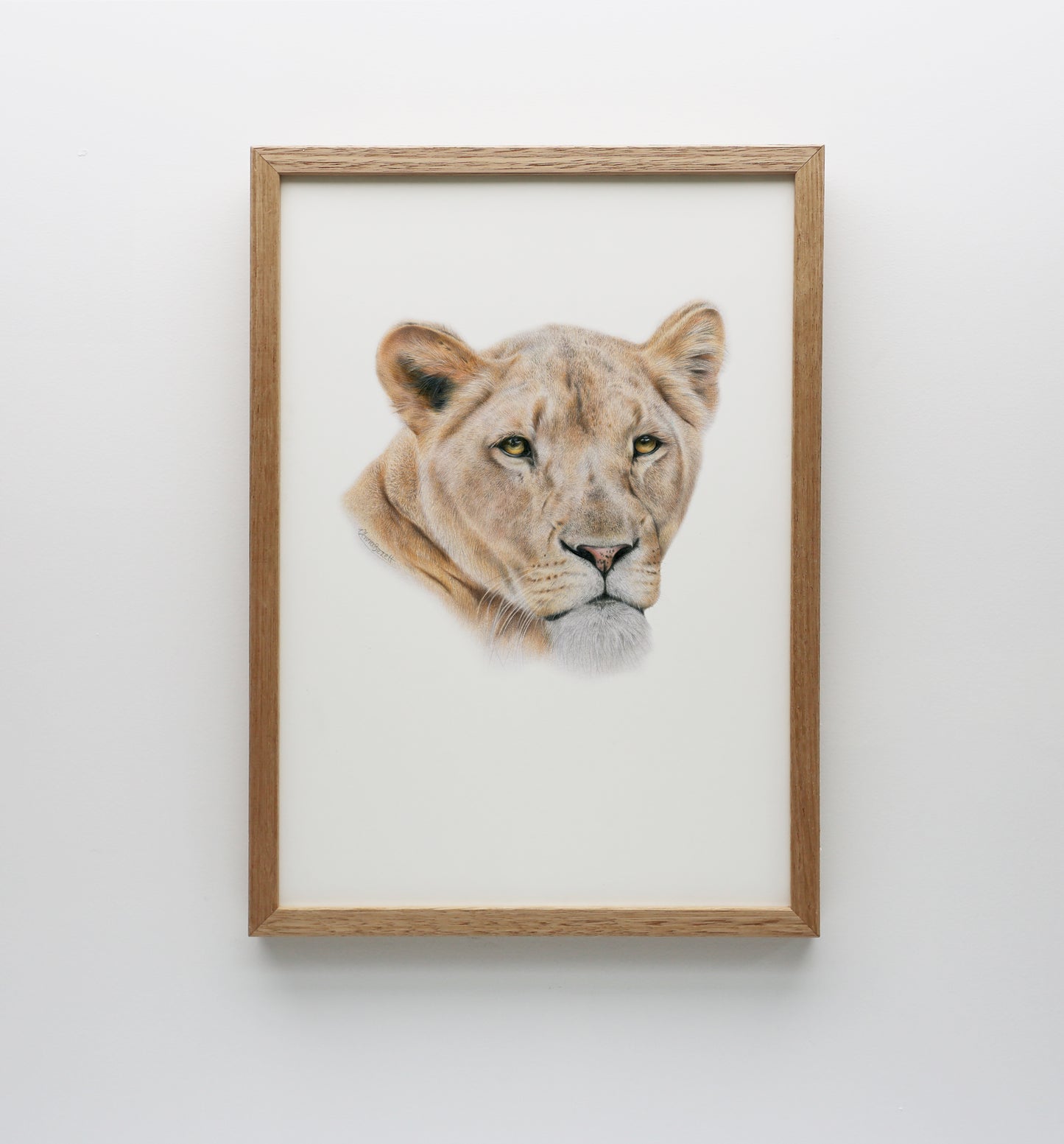 Lioness Print