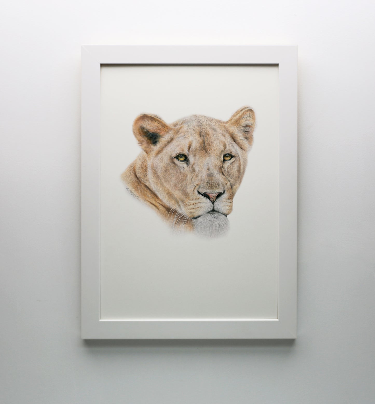 Lioness Print
