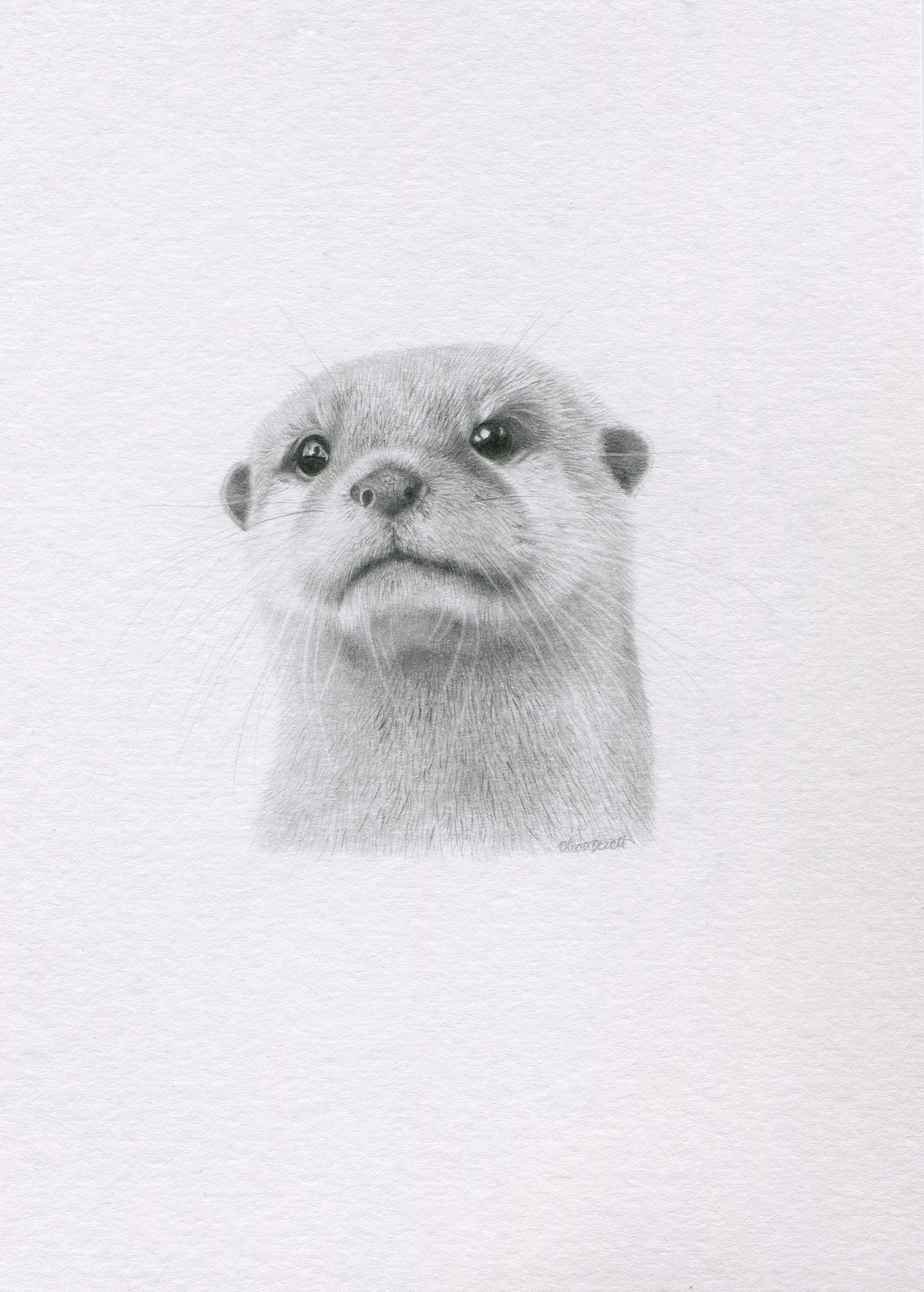 Mini one-off original 'Otter'