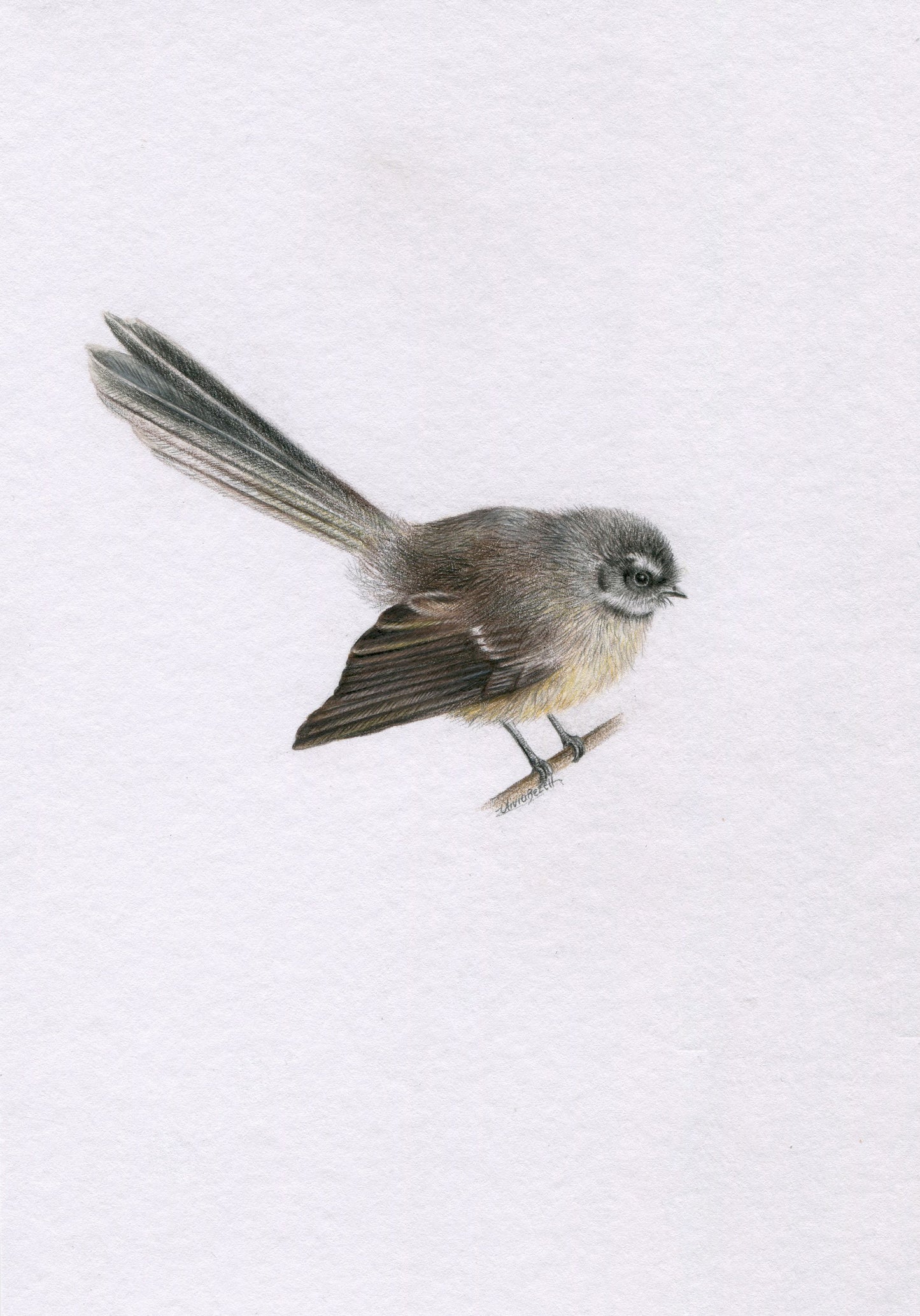 Mini one-off original 'Pīwakawaka'