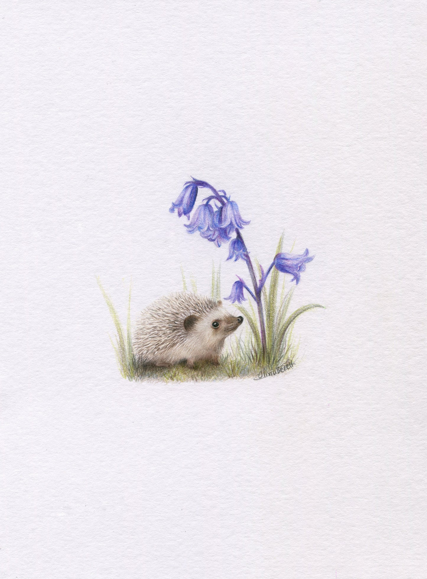 Mini one-off original 'Hedgehog and Bluebells'