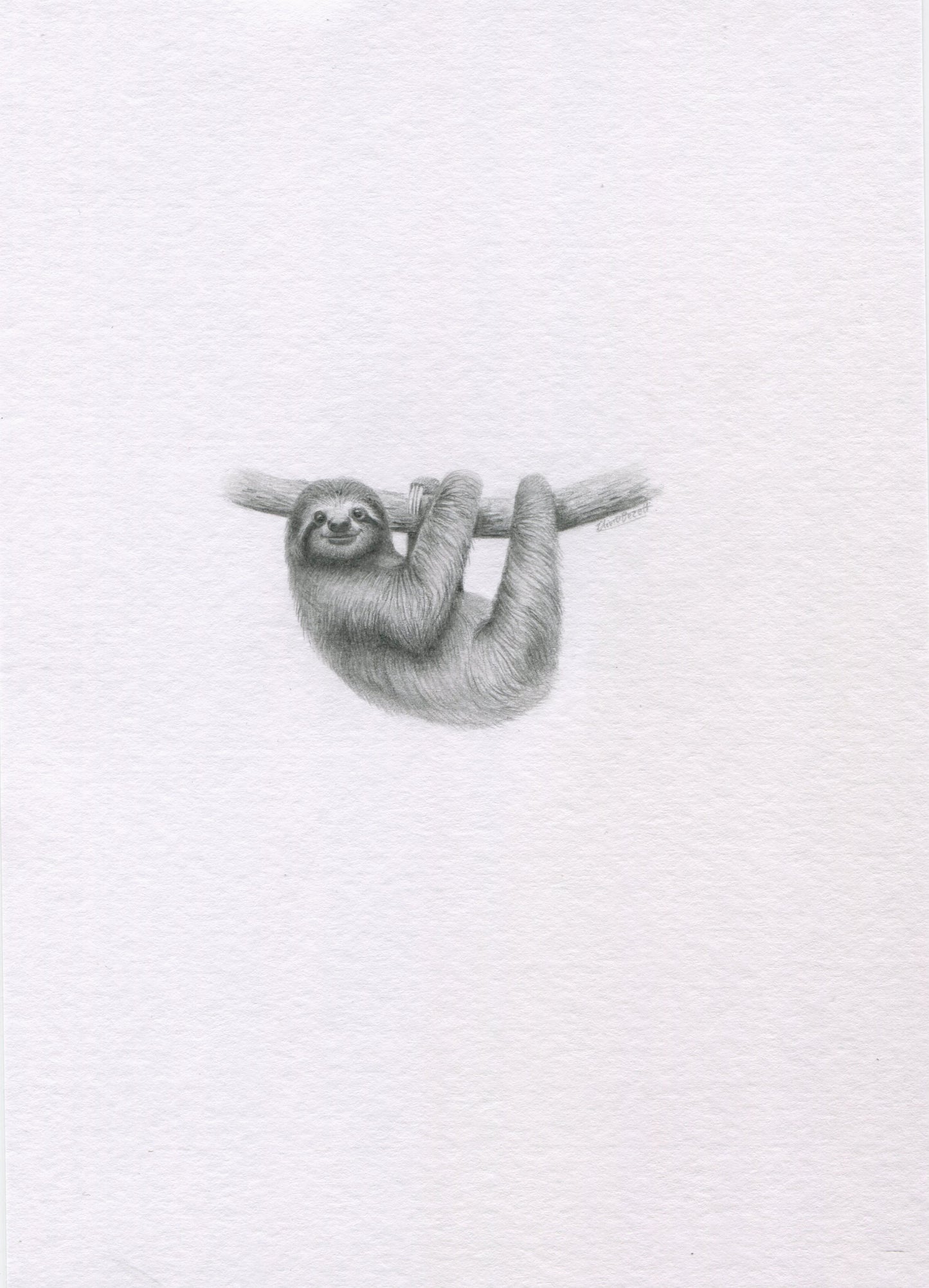Mini one-off original 'Sloth'