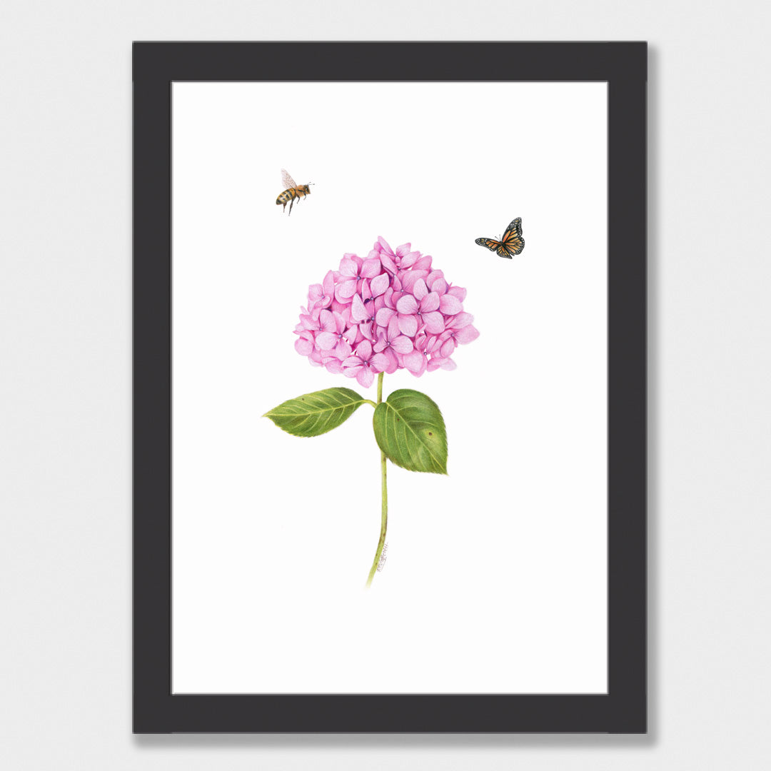 Pink Hydrangea, Bee and Butterfly Print