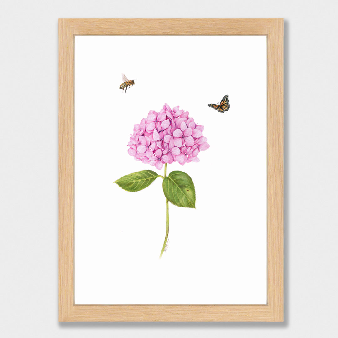 Pink Hydrangea, Bee and Butterfly Print