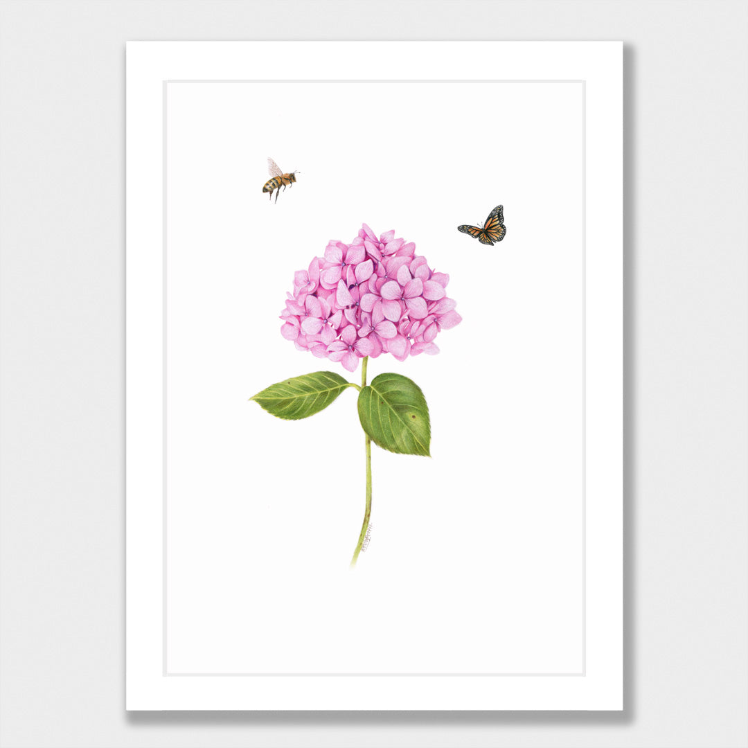 Pink Hydrangea, Bee and Butterfly Print
