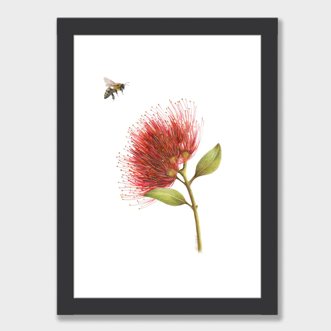 Pōhutukawa and Bee Print