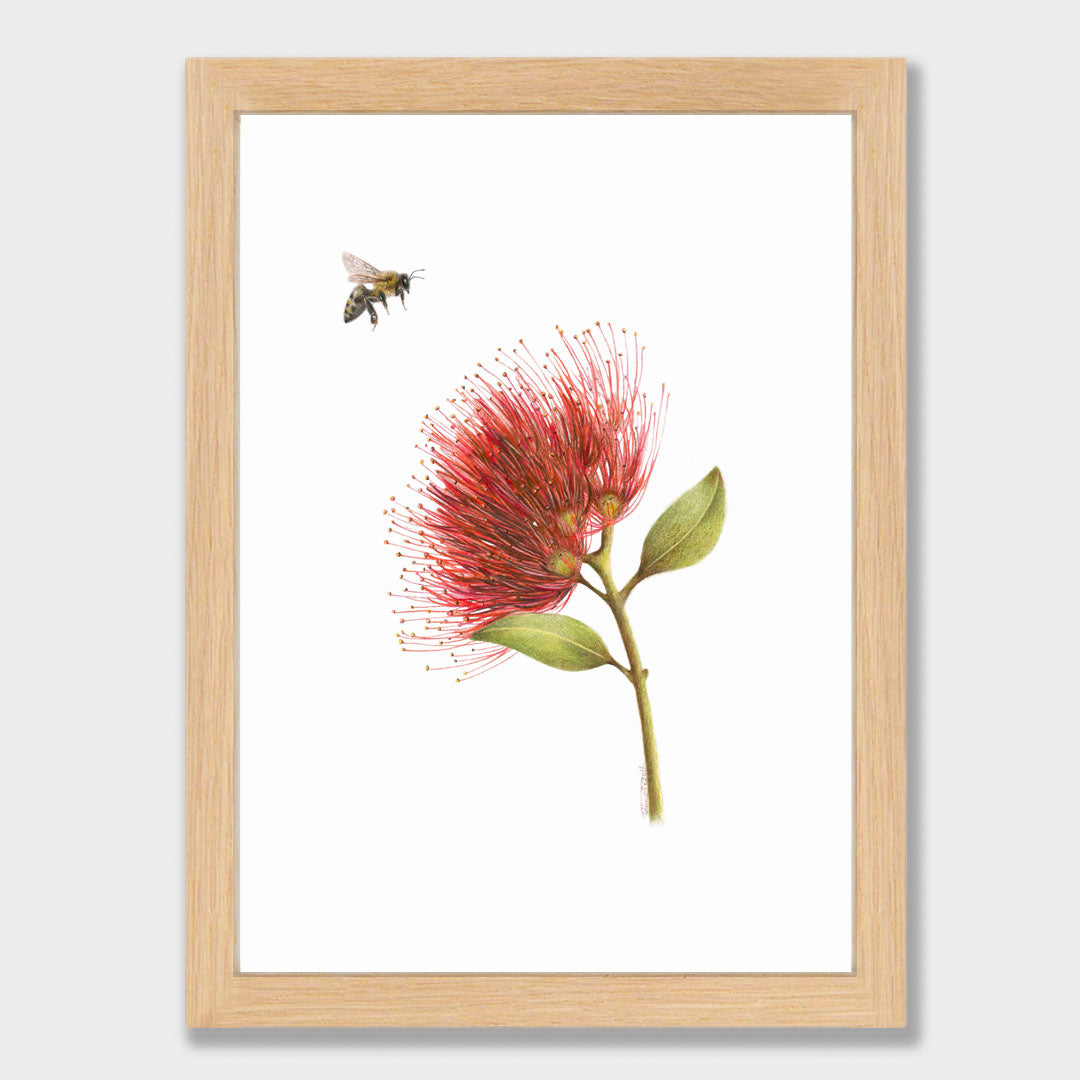 Pōhutukawa and Bee Print