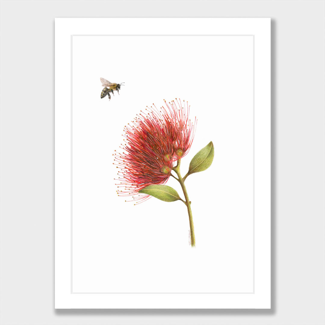 Pōhutukawa and Bee Print