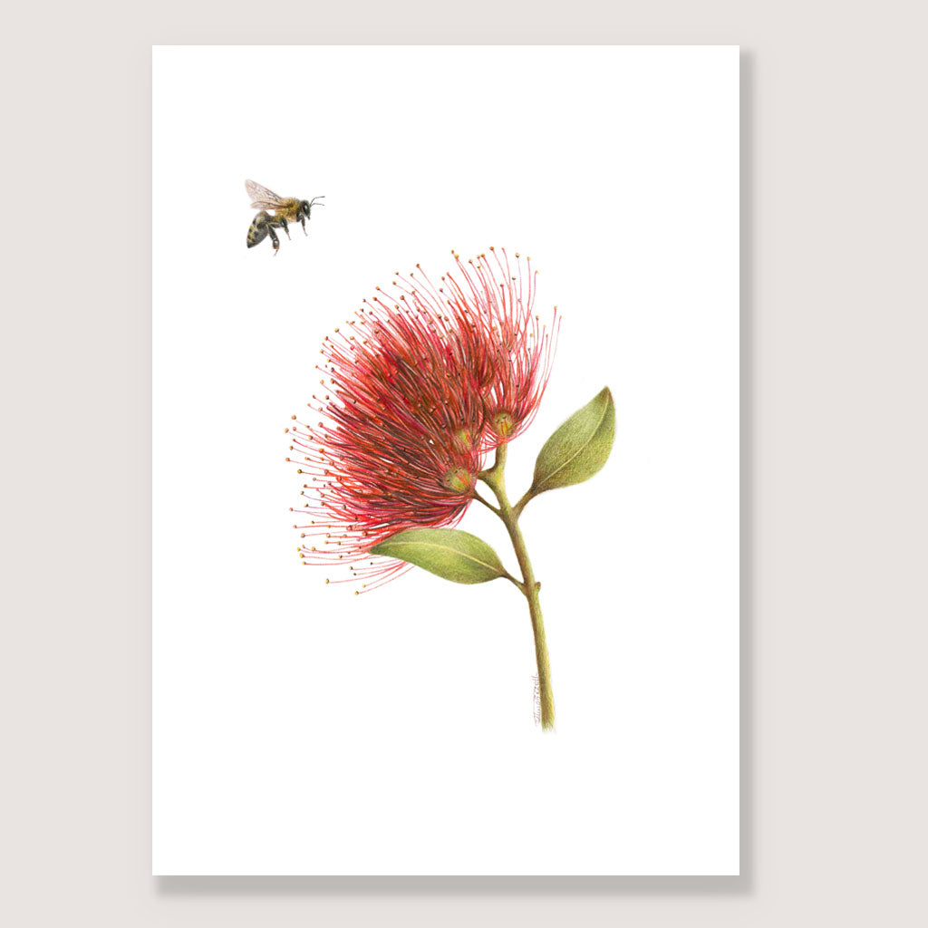 Pōhutukawa and Bee Print