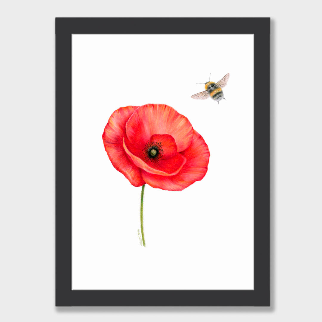 Poppy and Bee Print