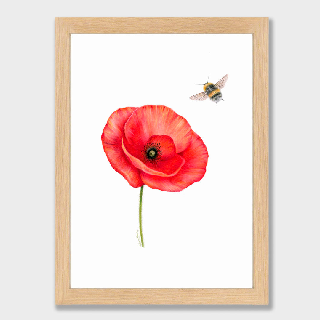 Poppy and Bee Print
