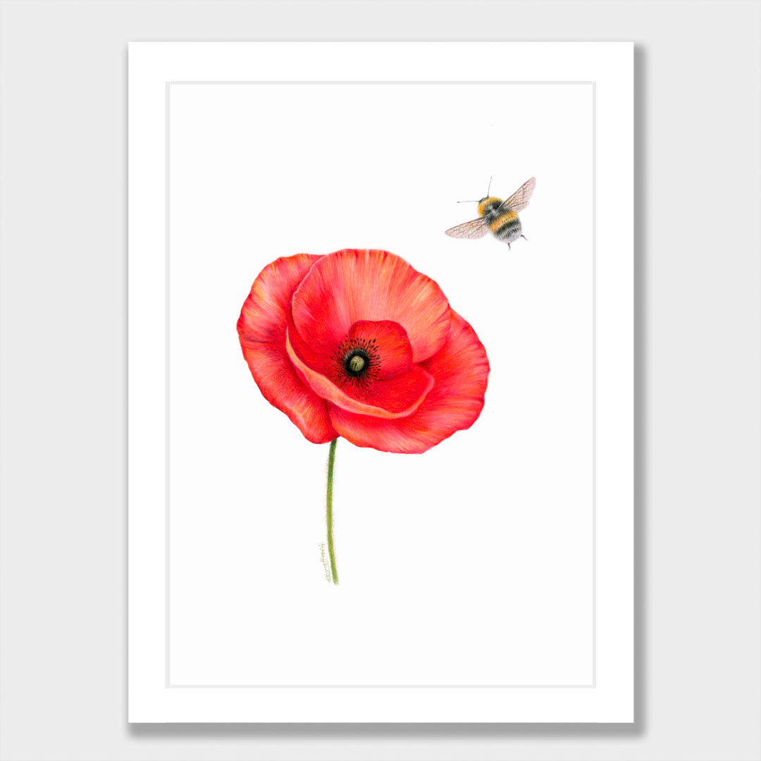 Poppy and Bee Print