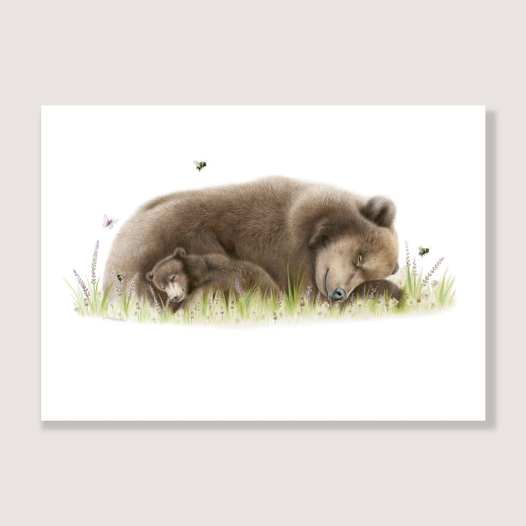 SALE - Sleeping Bears print A5