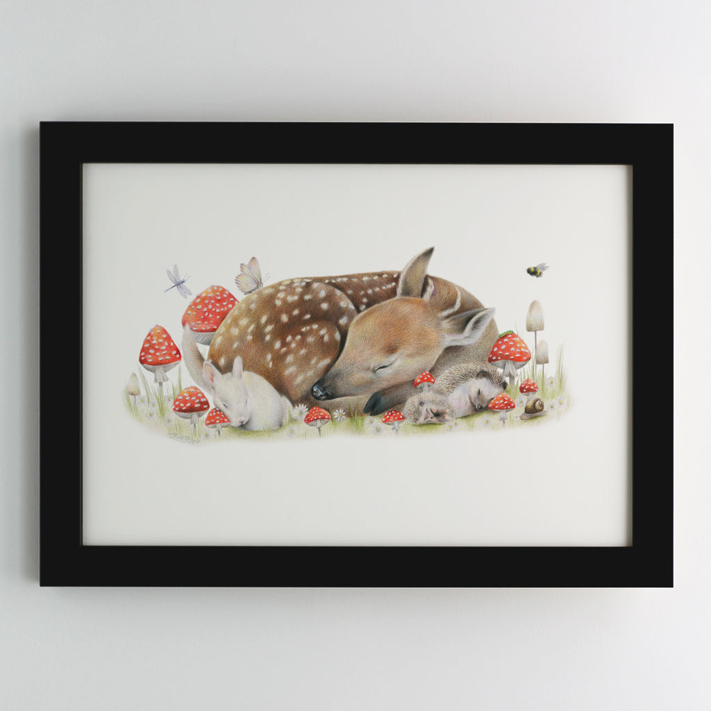 Sleeping Doe Print