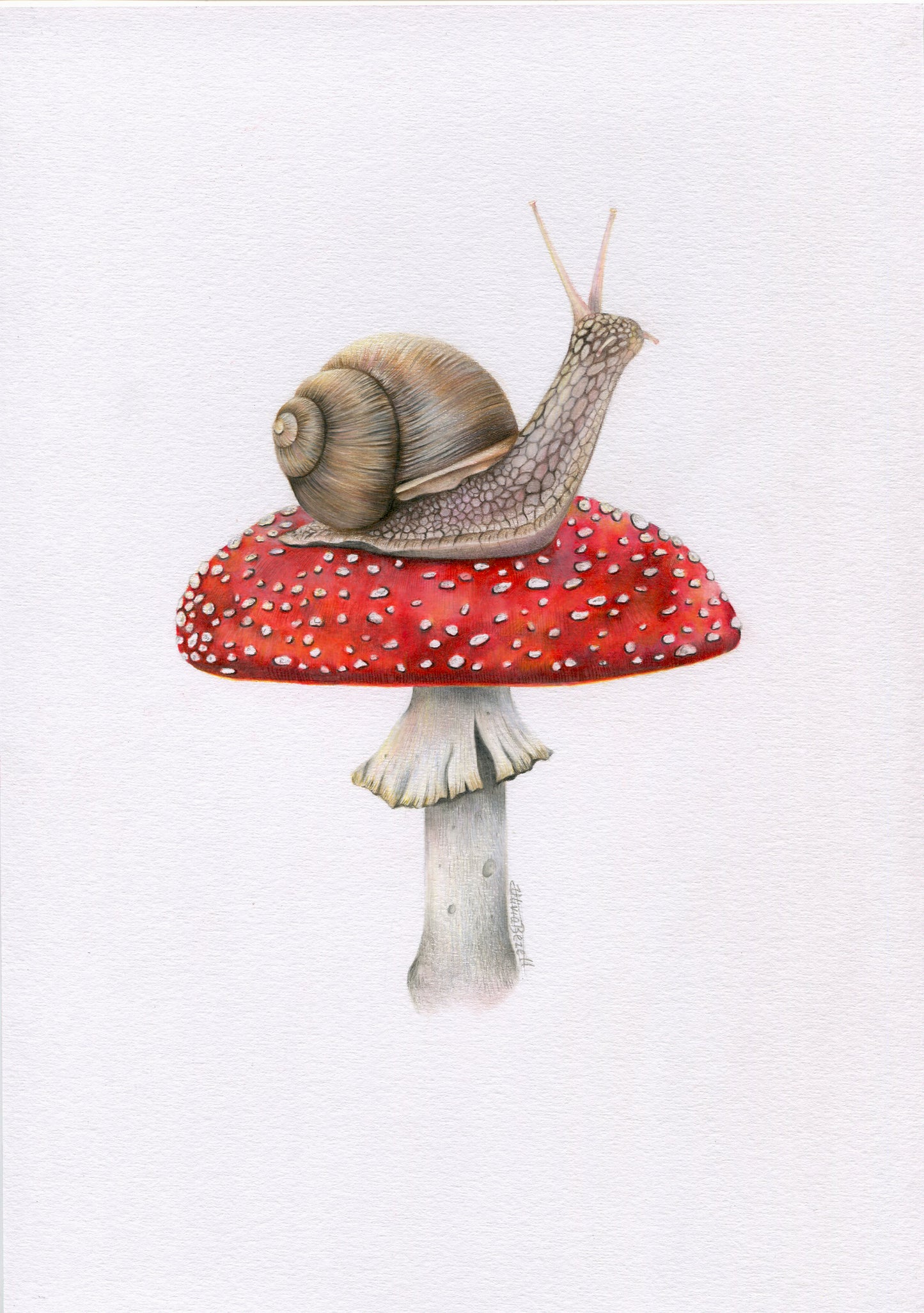 Original 'Snail on Mushroom'