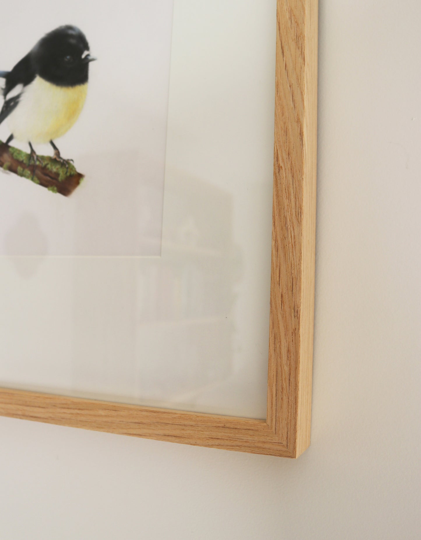 Original 'Tomtit/Miromiro'