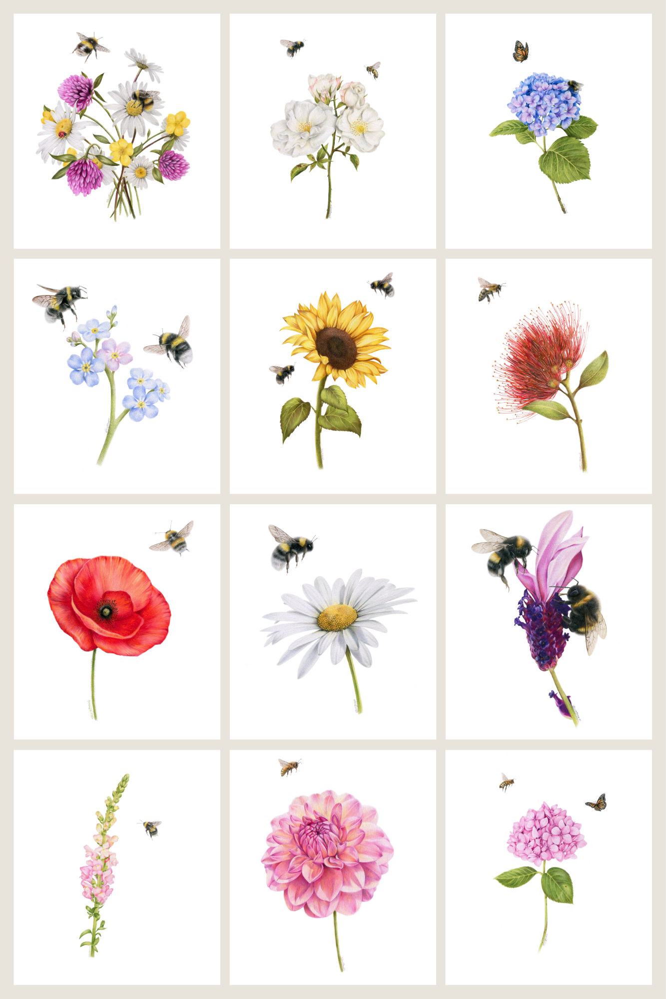 PREORDER - Flowers and Bees 12 Pack Greeting Card set
