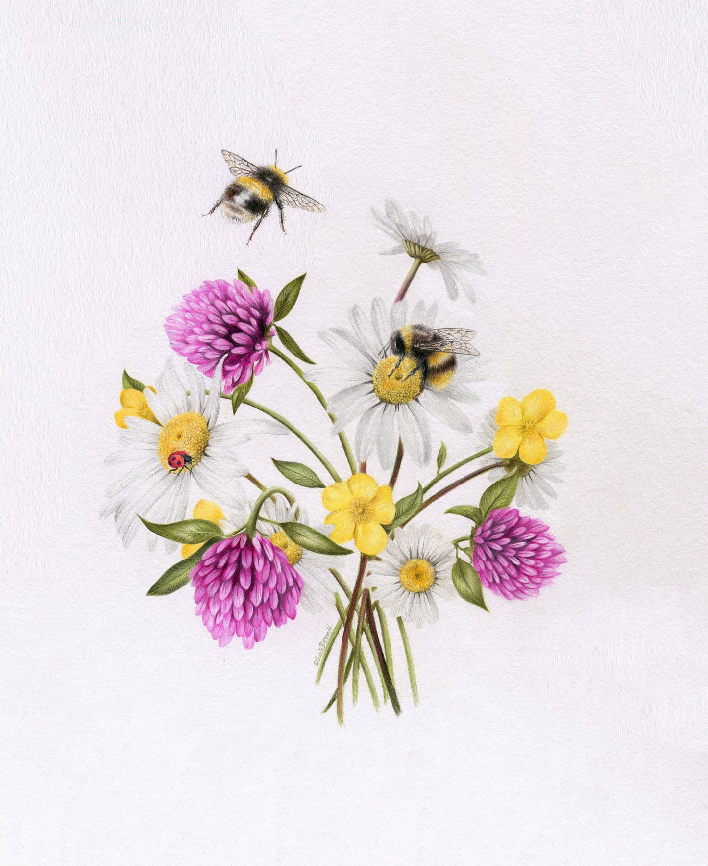 Original 'Wildflowers and Bees'