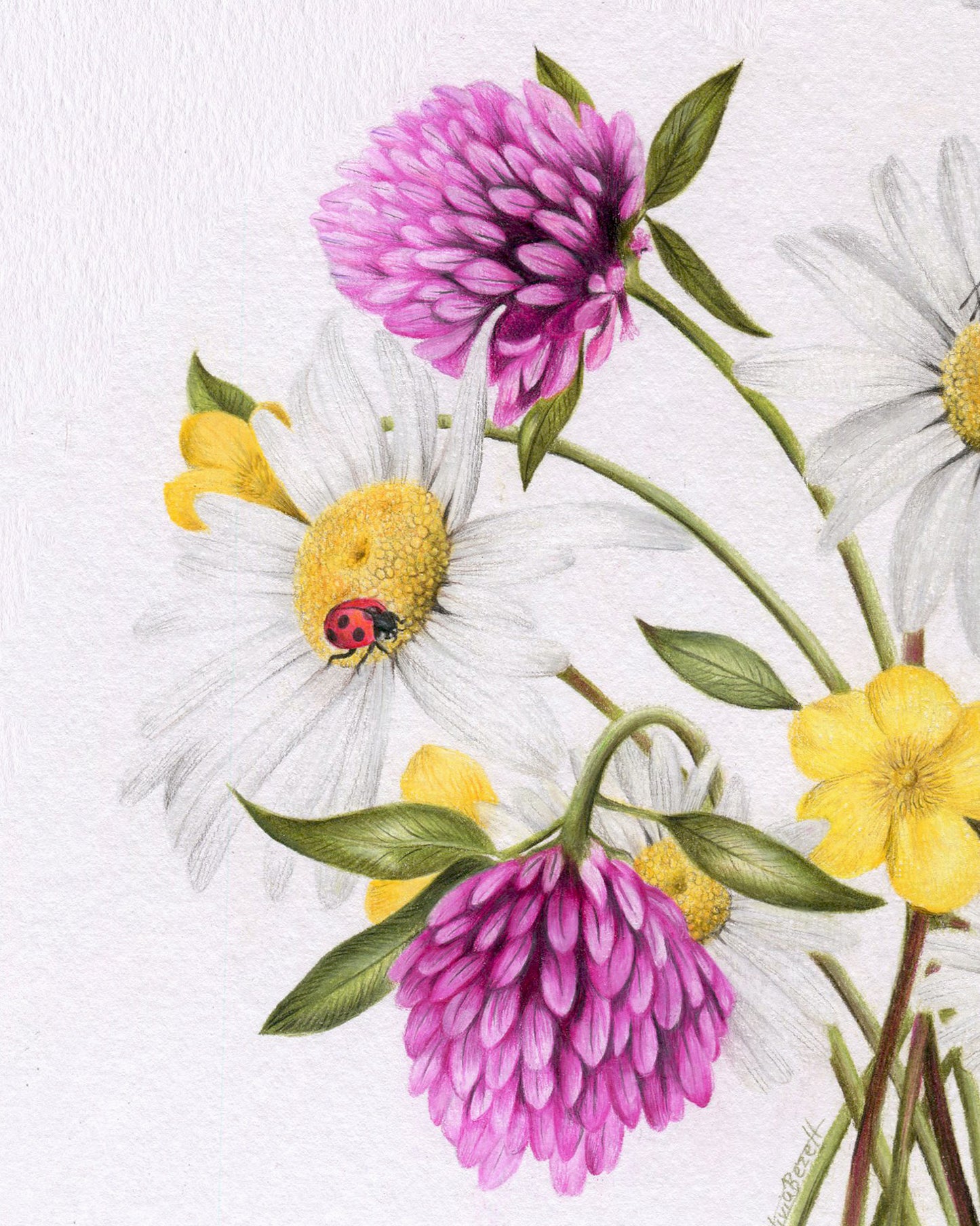 Original 'Wildflowers and Bees'