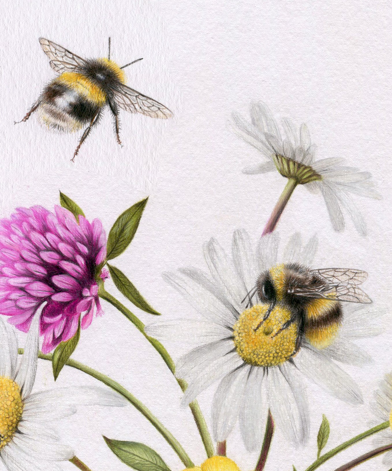 Original 'Wildflowers and Bees'