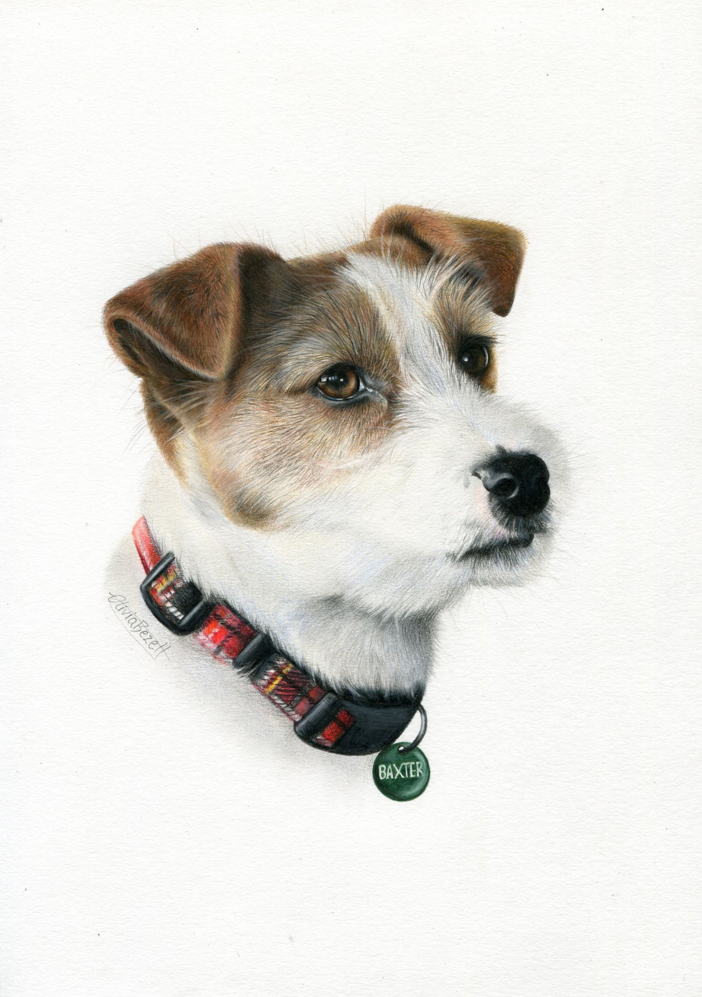 Pet Commission Gift Voucher